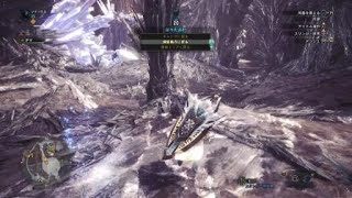 モンスターハンター：ワールド_20190301001438