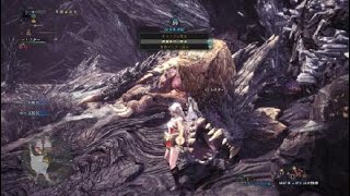 モンスターハンター：ワールド_ｼﾞﾙｴｱｴﾙで、サクッと倒す♪