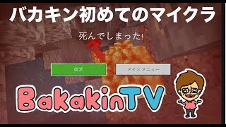 【バカキンゲームス】マインクラフト（マイクラ） やってみた「バカすぎヒカキンのゲーム実況」