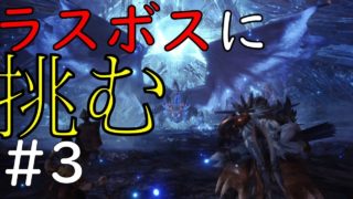 #3 【モンスターハンター：ワールド】一狩りいってくるぜ！！