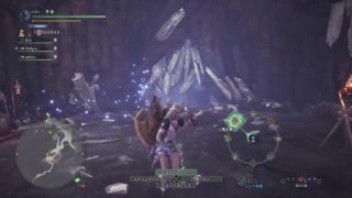 モンスターハンターワールド　極ベヒーモス討滅作戦