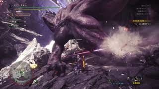モンスターハンター：ワールド_20190304005115