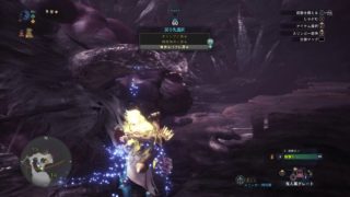 モンスターハンター：ワールド_20190309085839