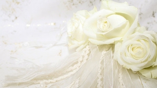 【マインクラフト】バーボンあやか☆女性実況