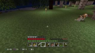 [PS4 マインクラフト]　垂れ流し放送♪