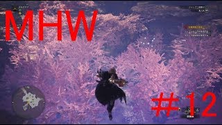 探索探索【モンスターハンター：ワールド実況】＃１２