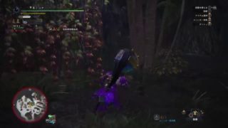 [モンスターハンターワールド]めっちゃ狩猟笛の練習する