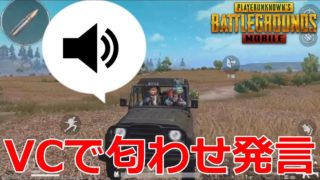 【PUBGモバイル】某実況者の名前が出たのでボイチャで匂わせ発言してみた 【PUBG MOBILE】