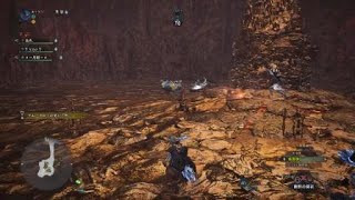 モンスターハンター：ワールド_野良の皆様方とマムタロト♪