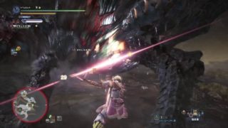 モンスターハンターワールド(歴戦王ヴァルハザク)双剣ペア MHW(Slay Vaal Hazak)Dual Blades 2pt 8'48