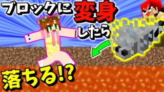 【マインクラフト】落とし穴ドッキリ!!ｗシルバーフィッシュ落とし穴はうまくいくかッ!?【赤髪のとも】meta morph MOD実況6