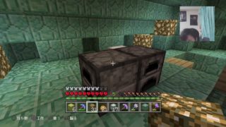 【マインクラフト】初見歓迎ちょっくら木の葉隠れの里作ってみた＃29 資材集め班募集