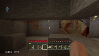 マインクラフト　（生.ps4)