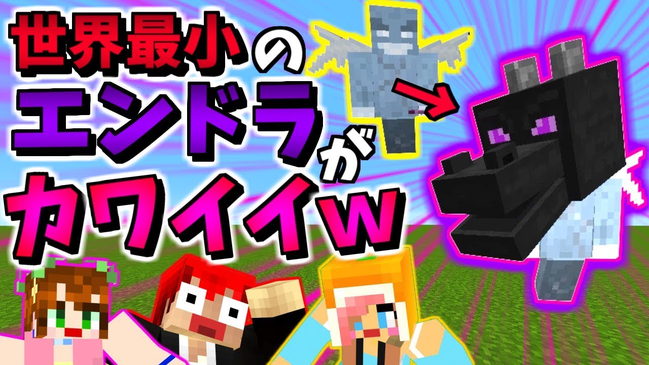 【マインクラフト】変身したエンドラの頭で大発見!!ｗ【赤髪のとも】meta morph MOD実況11