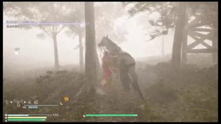 真・三國無双8やるよー♪