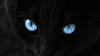 友達の鯖でマインクラフト