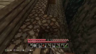 マインクラフト 第35回