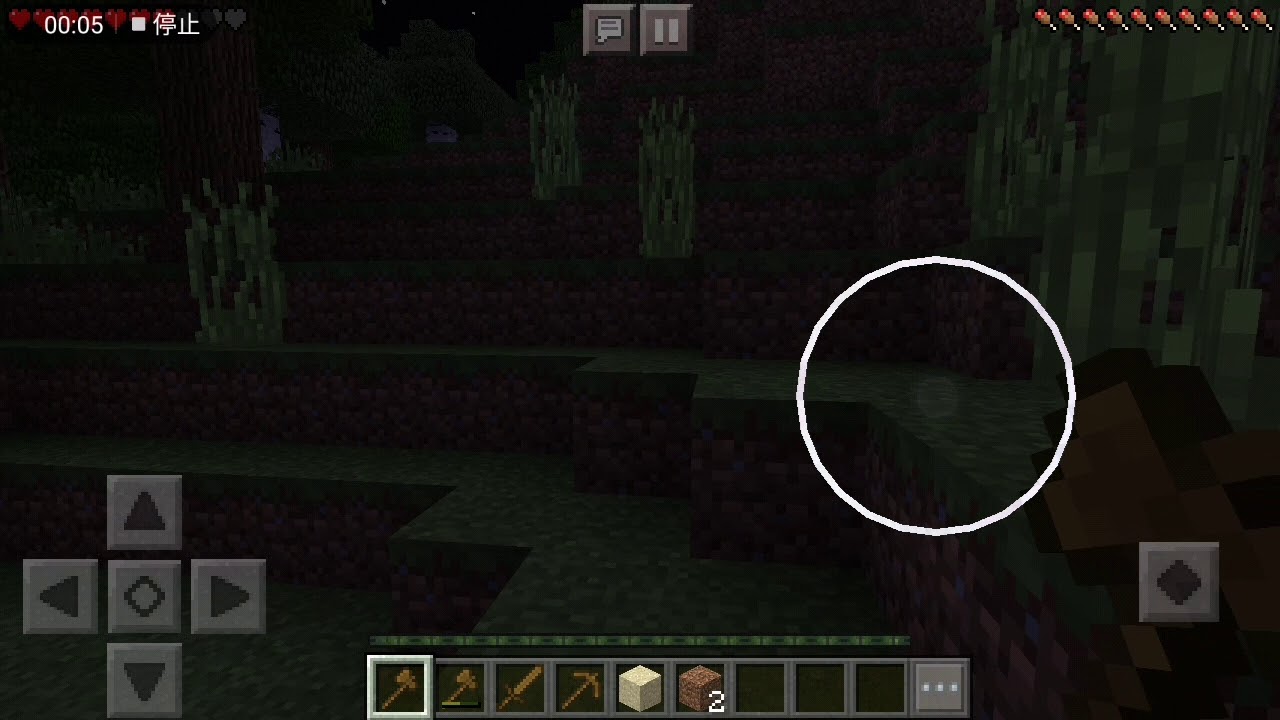 ほんちゃんとパパのマインクラフト(8)