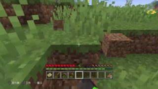 のんびりマインクラフト