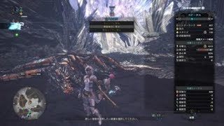 モンスターハンター：ワールド　王クシャ　ソロプレイ　お試し装備。