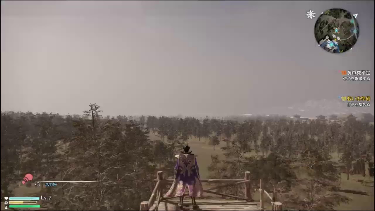 昔やっていた　三國無双8