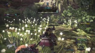 モンスターハンターワールド　参加型　手伝ってください