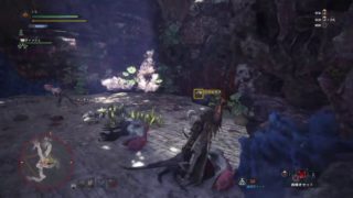 【MHW】配信初心者が行くモンスターハンターワールド　part 4（続き