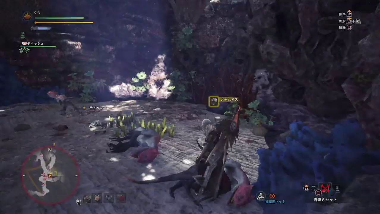 【MHW】配信初心者が行くモンスターハンターワールド　part 4（続き