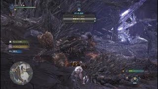 モンスターハンター：ワールド　歴戦ネギ　弓ソロ