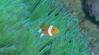 ＃224　モンハンワールド　バウンティと何かしら行く！　参加型·概要欄は必ず読んでね