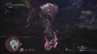 ［ひふみ］MHW モンスターハンターワールドpart 12