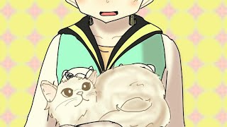 [初見さん歓迎してます] 久々に配信。クアッドやデュアカス・ケルビンなどなど。[スプラトゥーン2]