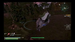 ぽんこつ初心者がお送りする真・三国無双８　その１　ひと狩りいこうぜ！