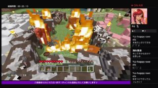 のんびりﾏｲﾝｸﾗﾌﾄ part.11