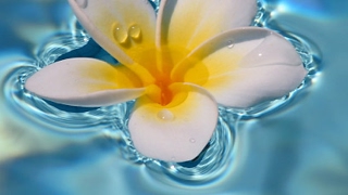 超下手な母のモンスターハンターワールド狩りに行くどー