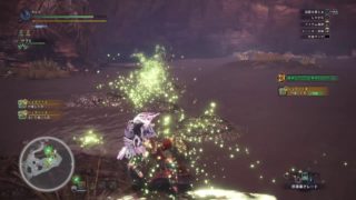 モンスターハンターワールド［MHW］お久しぶり！　＃20