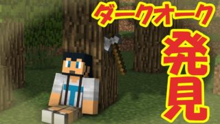 【マインクラフト＃37】棚ぼた！？ダークオーク発見で建築意欲がモリモリ【マイクラ実況】