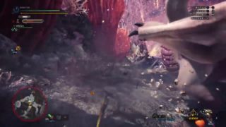 MHW 少しだけ さかやんがPS4からブロードキャスト モンスターハンターワールド