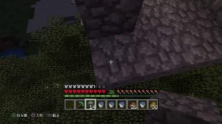 初心者のマインクラフト！！！プレゼント企画開催中！