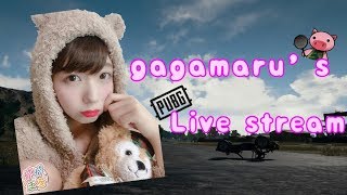 【女性実況】戦国ゲーミングありがとうございました🐷【PUBG】