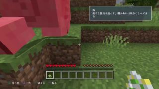 ［マインクラフト］（PS4）参加型だよよ