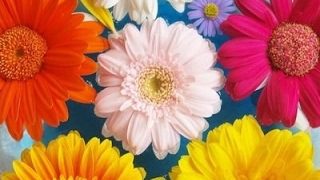 モンスターハンターワールドプレイ(ド下手)