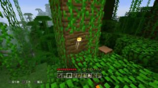 #3(マインクラフト)雑談ひまつぶ配信(NEW WAVE：KANANOFU)