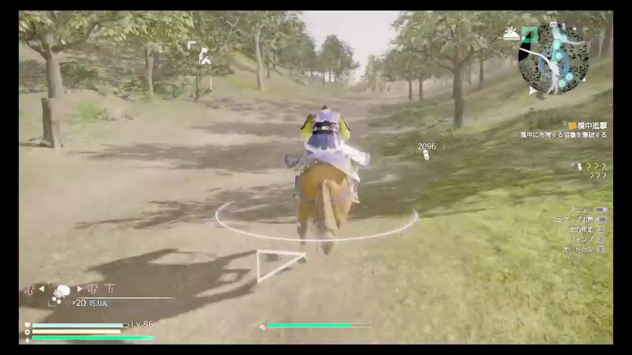 無双をすすめる