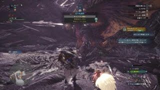 モンスターハンター：ワールド_20190409232416