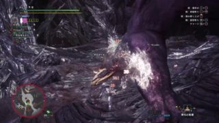 モンスターハンター：ワールド_救難信号を撃ってみたら「エオルゼアからの来訪者」