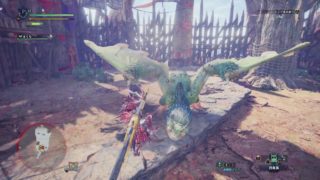 モンスターハンター：ワールド　闘技　ペア　プケプケ　00'46