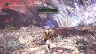 モンスターハンター：ワールド　歴戦クシャルダオラ　弓ソロ