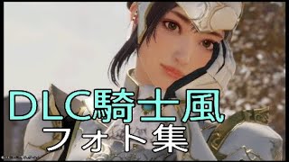 フォト集　辛憲英　三國無双8