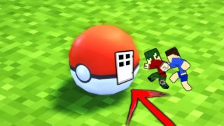 【マインクラフト】